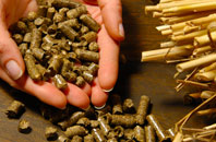free Golden Green biomass boiler quotes